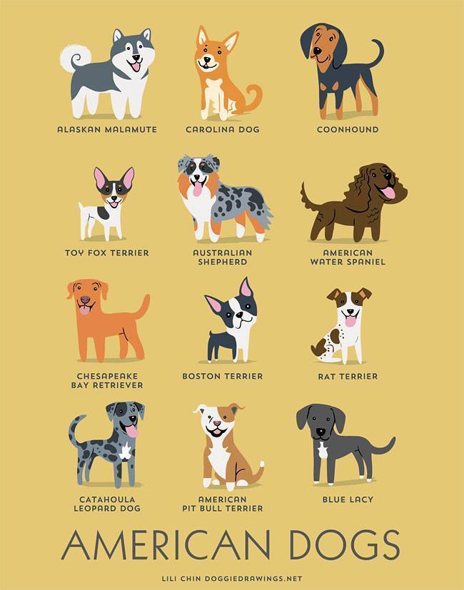 exhibitionistatheart:  50fuckingandlovingit:  bethsimon:  Dogs Of The World!!  💋