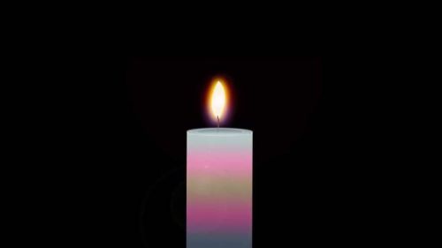 Today is Trans Day of Remembrance; a day to honour and remember over 375 trans people known to have 