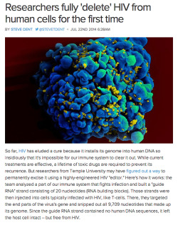 butthurter:  my-own-superman:  bromancing-the-stone:  platredeparis:  bnycolew:  mannysiege:  Progress  What  Imma just let this sit here  Science  Neato  http://www.temple.edu/medicine/temple_researchers_eliminate_hiv_virus_from_human_cells.htm