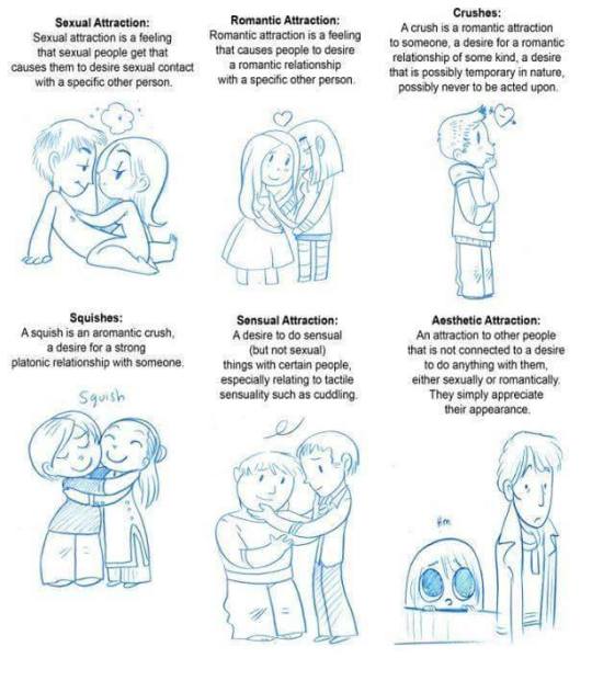 flames-bring-a-ton-of-ash:  A handy little chart to explain the various types of attraction :)  A corollary to my answer just now