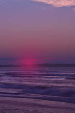 sundxwn:  Morning Glory by Lauren Thibodeau