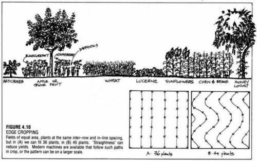 Spring is around the corner. Here&rsquo;s some ideas on how-to arrange your materials/garden/farm/la