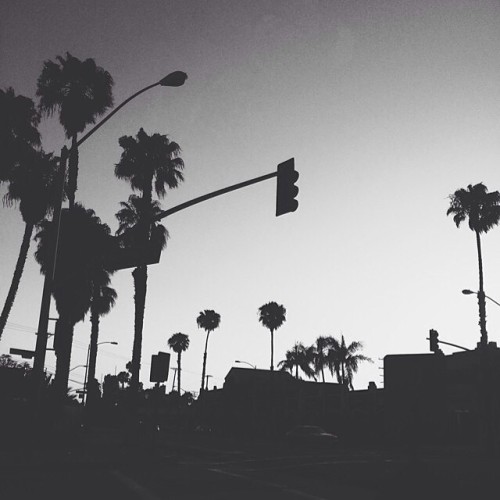 bluntskeez420:  Drive Slow Homie You Neva Know Homie . ! #CaliLife #Palmtrees . ! 