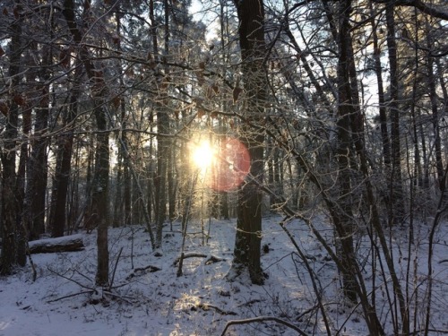 chained-to-the-mirror: Winter wonderland ❄️