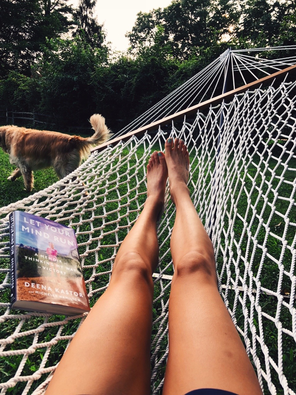solecityusa:  championsaremade:  the last of summer evenings  In appreciation of
