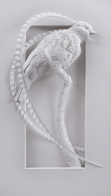 itscolossal:  Delicate Layered Paper Sculptures of Birds and Other Animals by Calvin Nicholls 