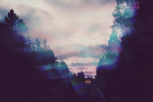 lomographicsociety:  Romantic Transatlantic: Maya Beano with the LomoChrome Purple Earlier this year