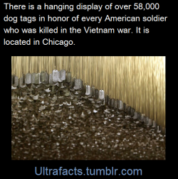 ultrafacts:  Source National Veterans Art