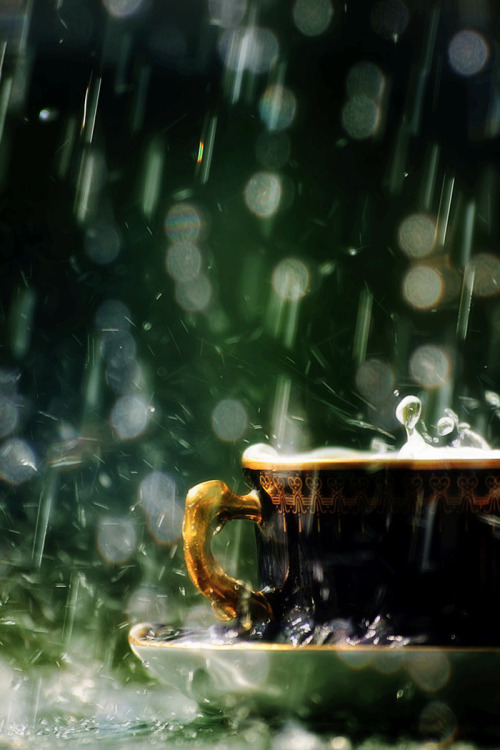 suchacuriousgirliam:  A rainy Good Morning! 