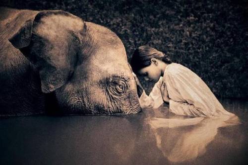 Gregory Colbert Nudes & Noises  