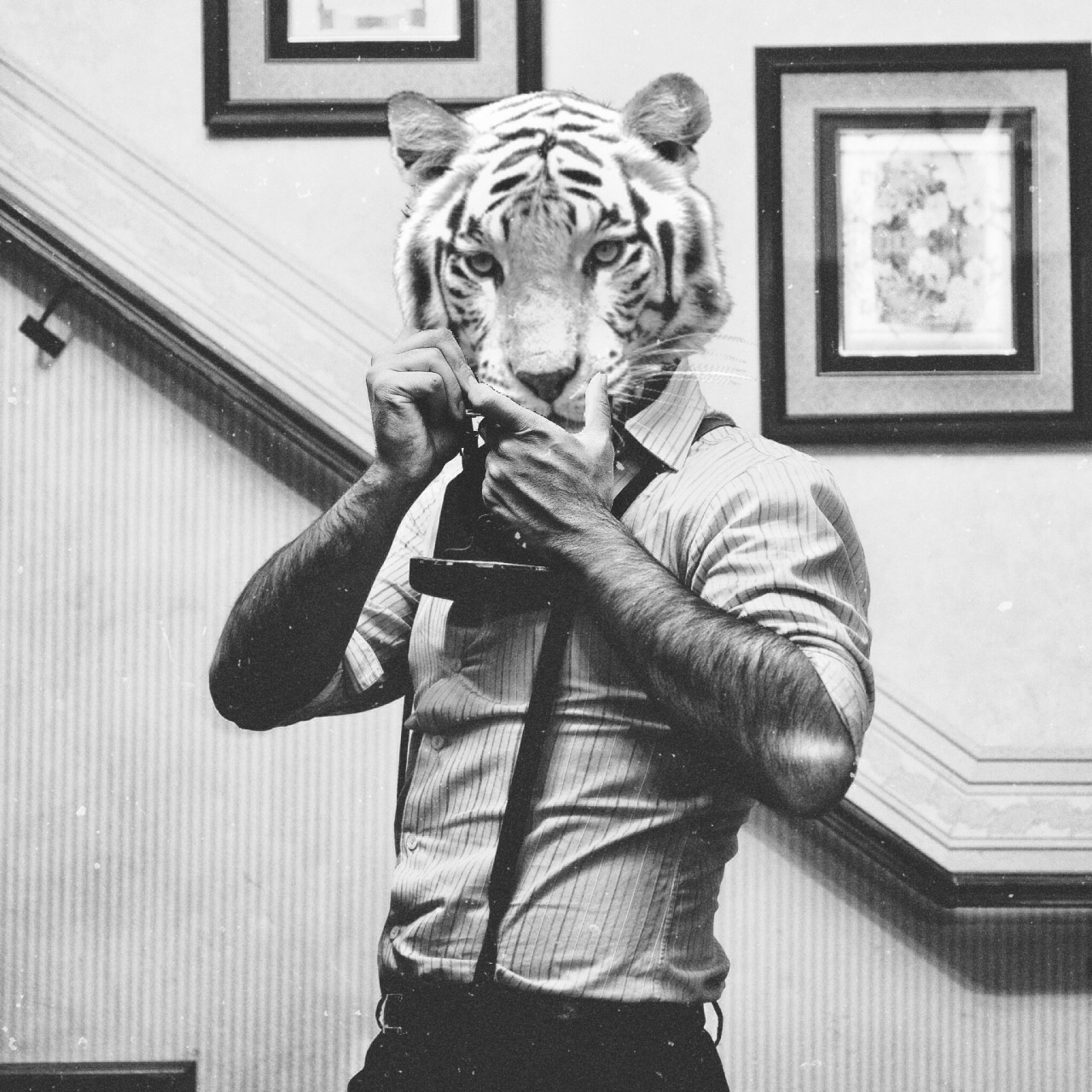 amchphotography:  Rawr! 