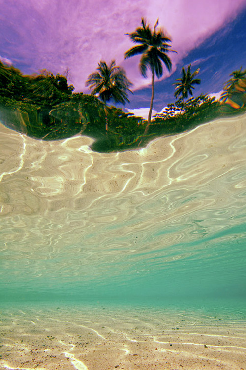 hurleywaves.tumblr.com/post/82426171472/