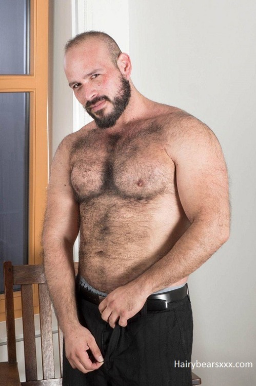 Porn photo Hairy Men on Men - Hairy Bears - Hairy Chests