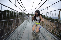 archiemcphee:  Depending on whether or not you suffer from acrophobia, an awesomely terrifying/thrilling new glass-bottom bridge just opened in Shiniuzhai Geopark in China’s Hunan province. The  984-foot-long glass walkway replaces what was arguably