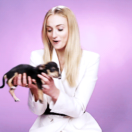 lheadey:Sophie Turner Plays With Puppies While Answering Fan Questions