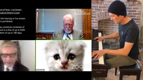 Pianist Provides Lively Accompaniment to the Lawyer Who Showed Up As a Cat to a Legal Hearing on Zoo