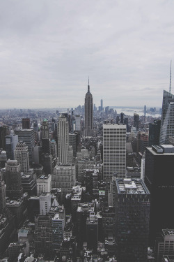 envyavenue:  New York State of Mind