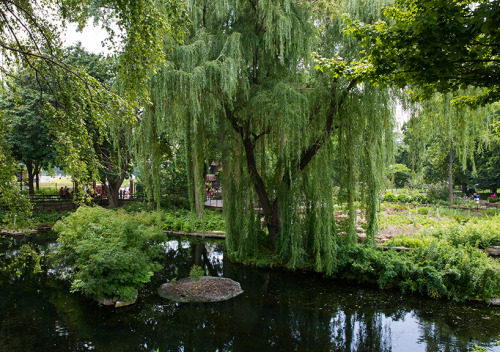 stuartheidmannphotography:  I want to live in nature