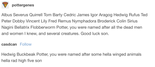 rachaelmhill: moonquakelake: my favorite alternate names for harry potter’s youngest son @perp