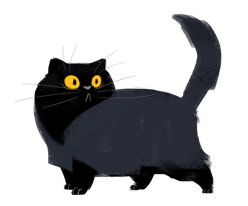 Daily Cat Drawings 509 Black Cat Sketch