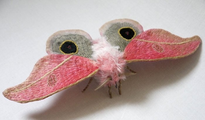oau: Textile Moths Yumi Okita 