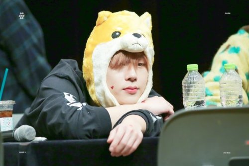 daily-monsta-x: Tuesday: Jooheon at the Suwon fansign Photo credit: On and On + Hoxication