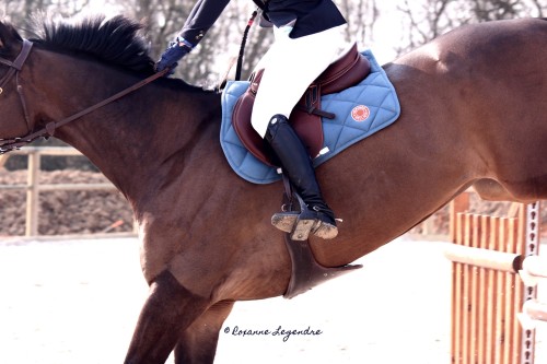 roxannelegendre: Hermès Equestrian.Photographer : © Roxanne Legendre / www.pegasebu