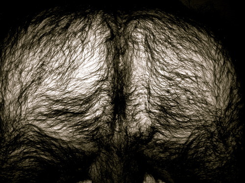 pigshouse:  Hairy ass 
