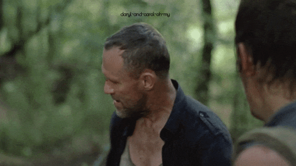 Daryl Dixon X F!Reader Smut: Matchmaker Merle 