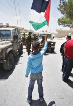 occupiedpalestine:  Testimonies Prove Israel