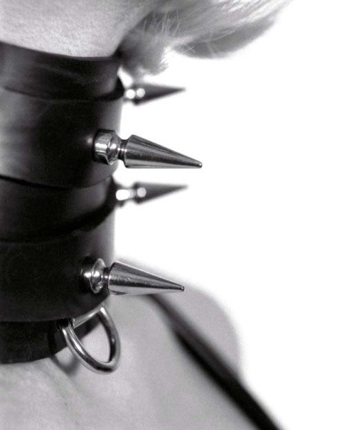 passius:  rykersdiamonds:      passius:  Spike Collar by ~AlexWilson  