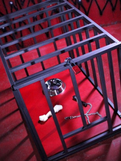 thehuskysdirtybits:  A Cage.  Either It Can Be A Pups Worst Nightmare.  Or It Can Be Like Heaven~      (via TumbleOn)