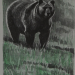 antiqueanimals:Aus dem Leben der Tiere: 100 Beschreibungen, Tatsachenberichte und