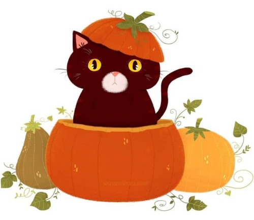 It’s #halloween !!! ♥ Have a nice day full of tricks and treats ! #illustration #halloweenillu