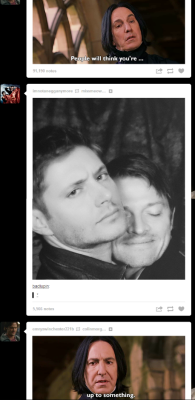 yall-mothafuckas-need-misha:  THIS JUST HAPPENED