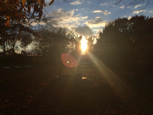 cthulhuk:Upon my visit to Cleveland’s Lake View Cemetery, I took a few photos and captured several o