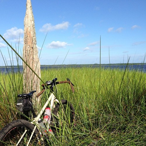 ahhyea777: #adventurebybike in NC on my #salsafargo. #bike #bicycle #salsabikes (at Seagrove)