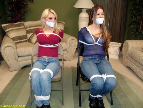graybandanna:  If you like variety in your gags, these are the damsels in distress for you