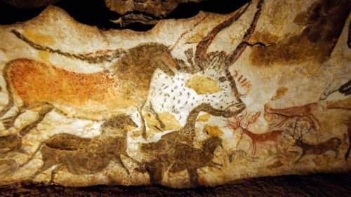 AUROCHS (Bos primigenius)“First-born ox/cow”Early Pleistocene-Late Holocene, 1.8 million-392 years a