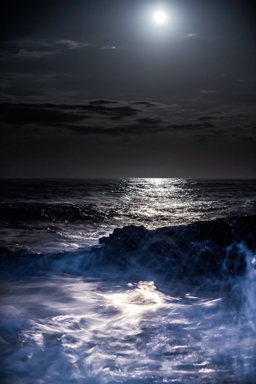 ontheotherside2 - Moonlit Ocean