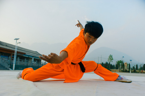 Stance by Shi Yanchen In the study of Shaolin kung fu have dedicate one day for a deep study of som