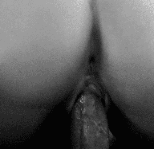 Fine Porn Plays