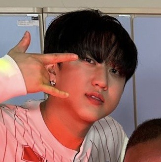Stray Kids Matching Icons/metadinhas.