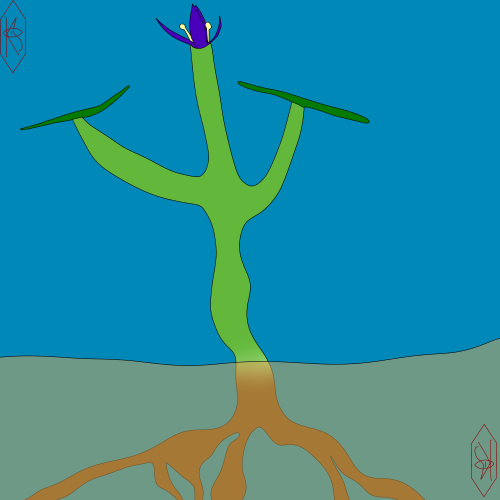 Robare, More Commonly Known As A Sea Flower, Are Green Flowering Marine Plants, They Grow In A Semibilaterally