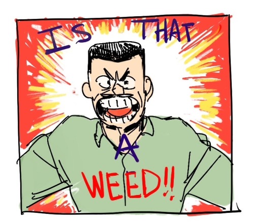 *david Madsen Voice* Is This Grass!!!?