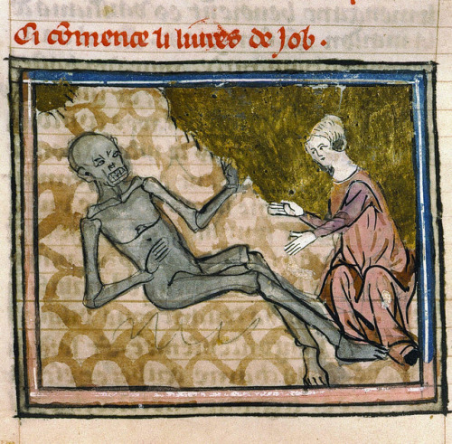 Job ZombieBible historiale, Paris ca. 1330Paris, Bibliothèque Sainte-Geneviève, ms. 22, fol. 204v
