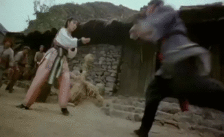 guts-and-uppercuts:  Wing Chun (1994)