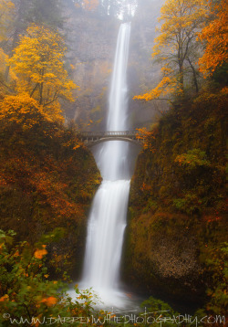 wowtastic-nature:  Multnomah Morning by  Darren White Photography on Flickr (Original size - Height: 1600px - Width: 1116px)  