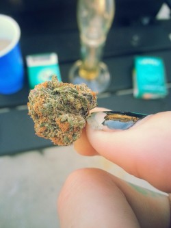redirisheyes:  For being a non smoker. My dad can get some dank. 