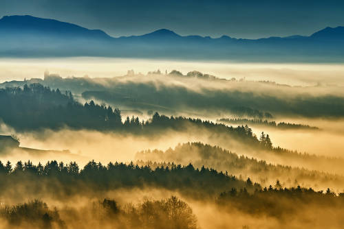 Morning fog by Karl Kriener Camera: Nikon D800